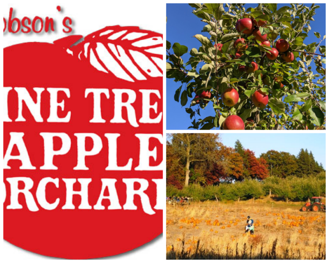 Review Pine Tree Apple Orchard image 24611