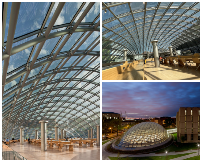 Review Joe and Rika Mansueto Library image 137784