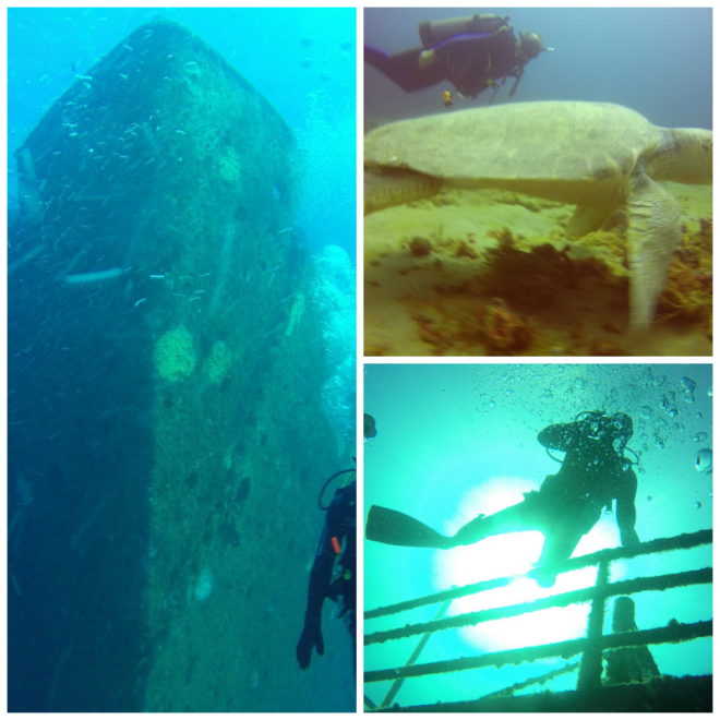Review Scuba works image 351311