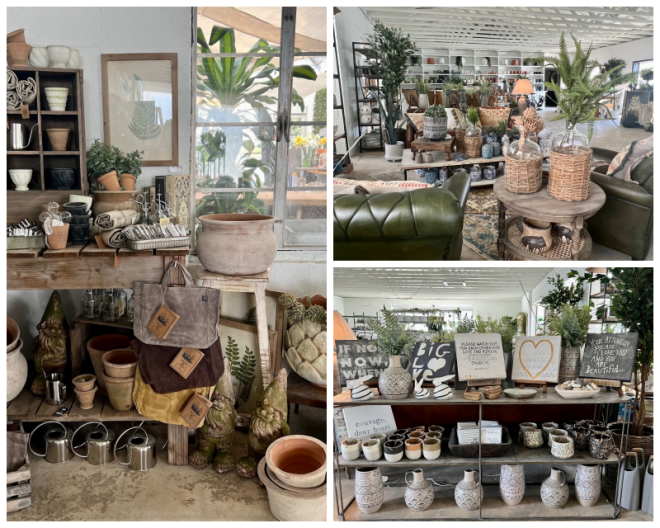 Review Potomac garden ctr image 338870