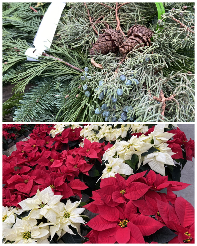 Review Potomac garden ctr image 338872