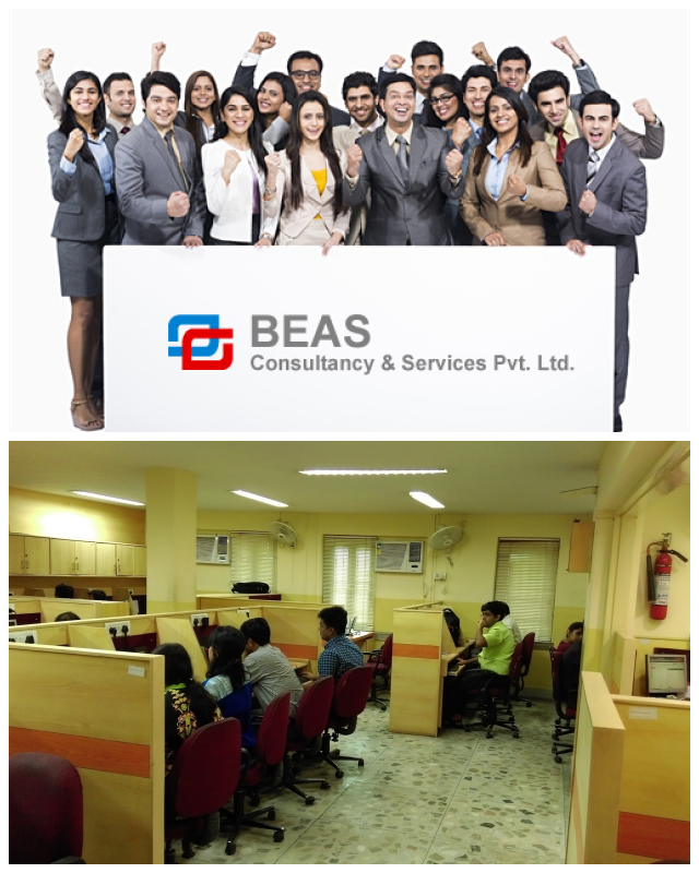 Review Beas Consultancy And Services Pvt.Ltd image 20705