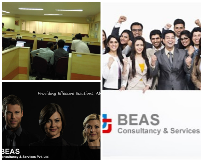 Review Beas Consultancy And Services Pvt.Ltd image 20706