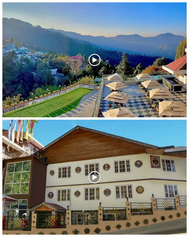 Review Simplotel image 87819