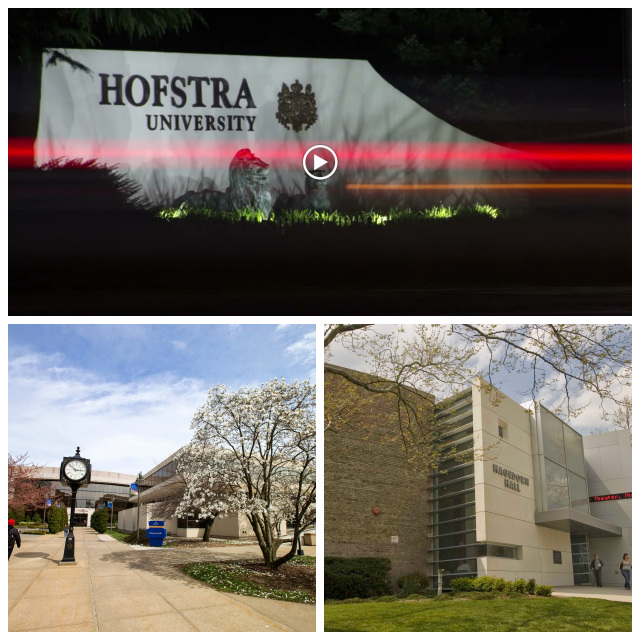 Review Hofstra university image 239513