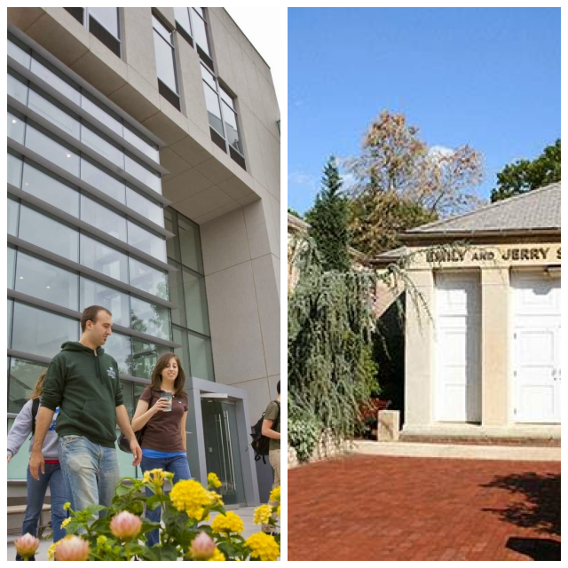 Review Hofstra university image 239516