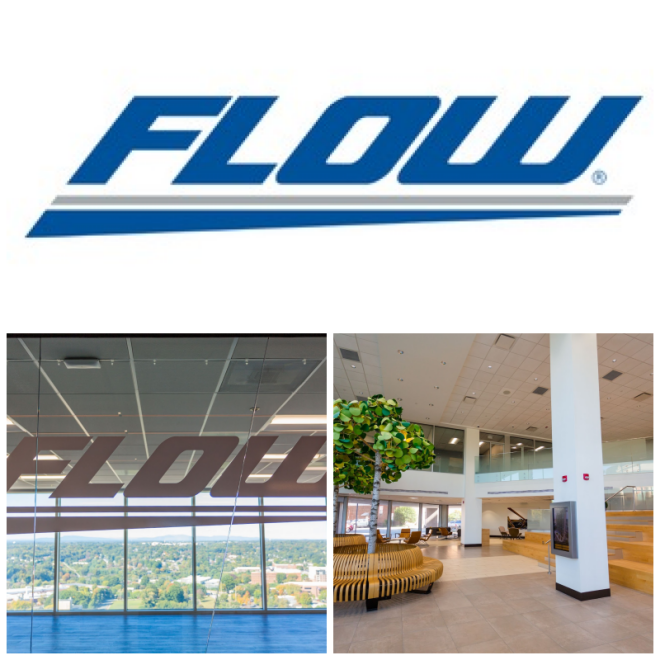 Review Flow automotive companies image 241934