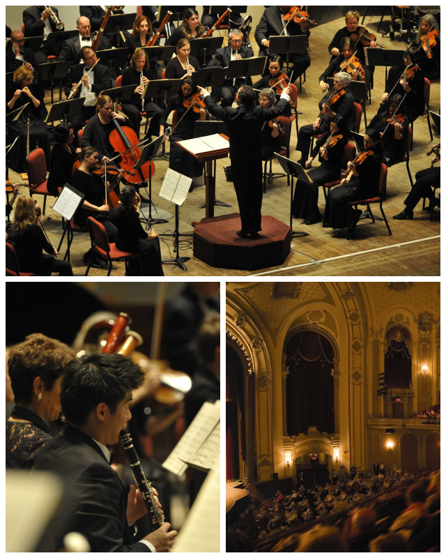 Review Albany Symphony Orchestra image 142332