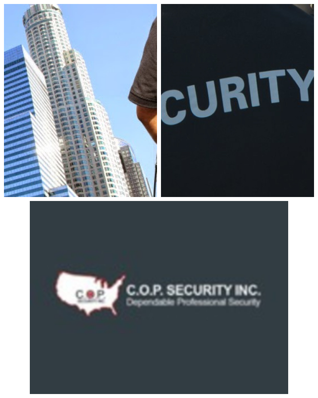 Review C.O.P. Security, Inc. image 93505