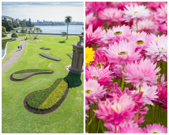 Review Foundation and Friends of the Botanic Gardens image 173248