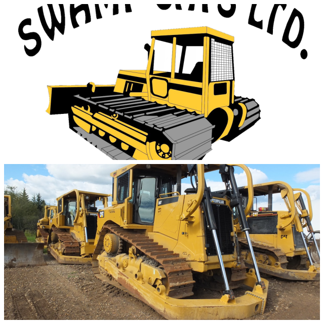 Review swamp cats image 151135