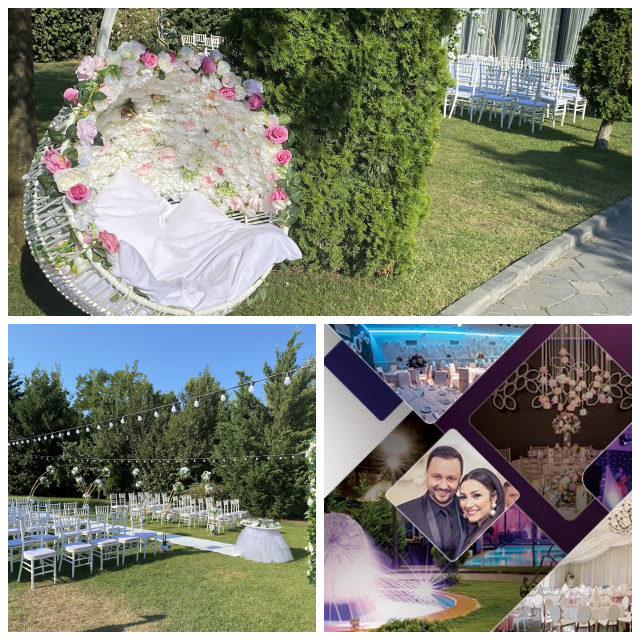Review Aristocrat Events & Travel, LLC image 178930