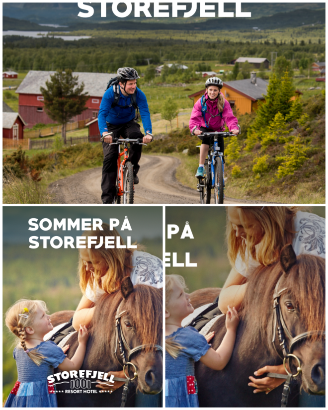 Review Storefjell Resort Hotel image 7273