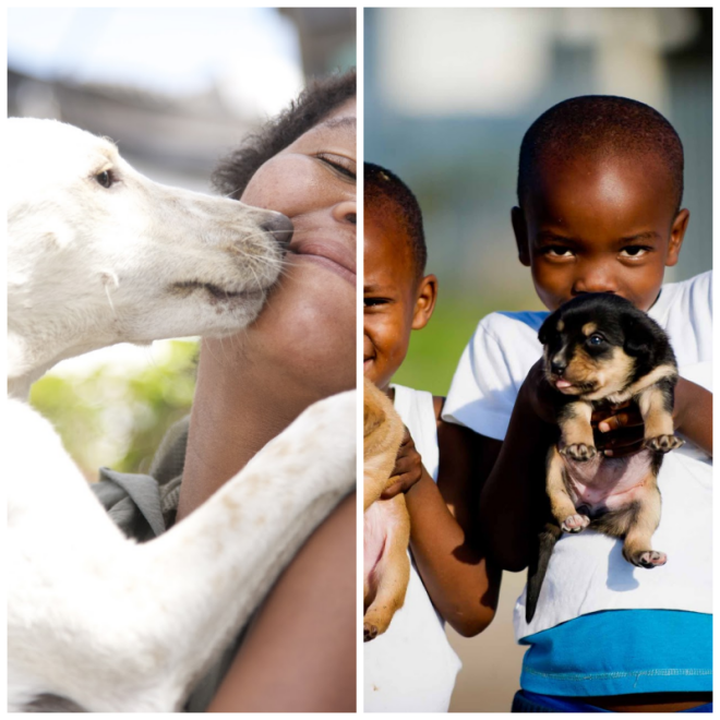 Review Mdzanana Animal Clinic image 212947