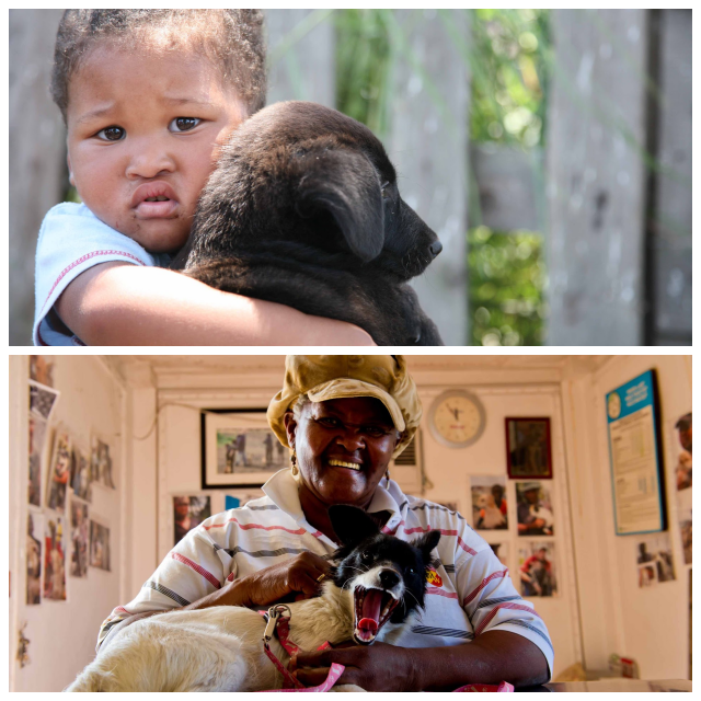 Review Mdzanana Animal Clinic image 212950