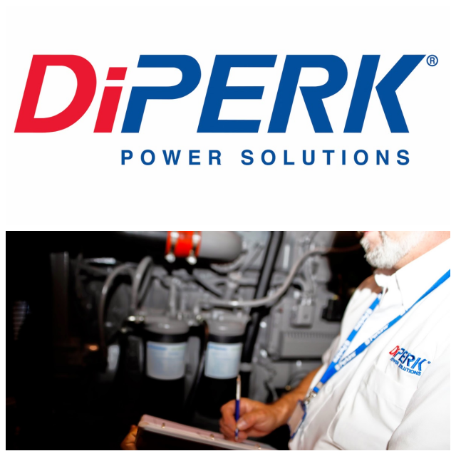 Review DiPerk Power Solutions image 27354