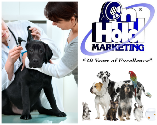 Review On Hold Marketing Group image 117260
