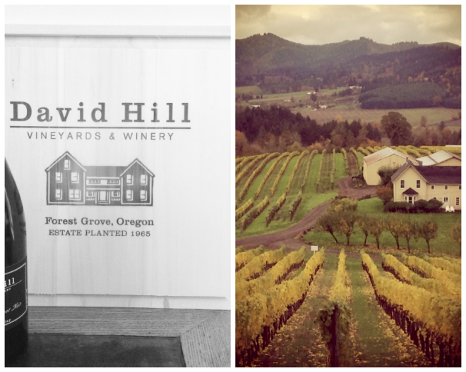 Review David hill vineyard & winery image 271909