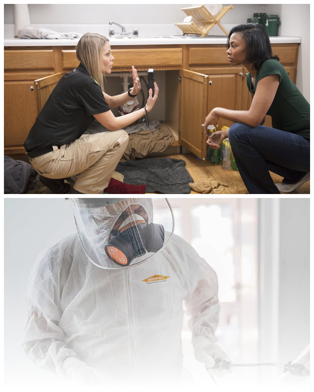Review Servpro of carrollton image 352544