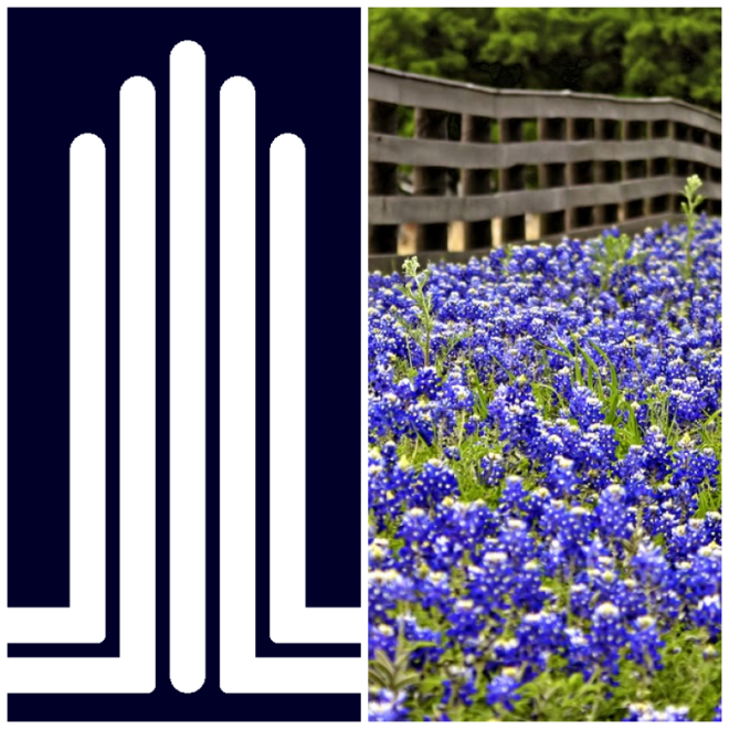 Review Texas ally real estate group, llc image 265682