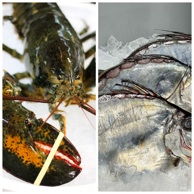 Review Sam Rust Seafood image 78054