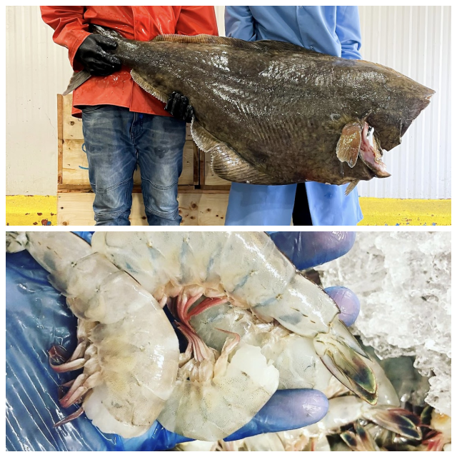 Review Sam Rust Seafood image 78055