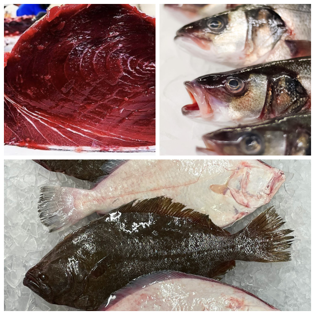 Review Sam Rust Seafood image 78056