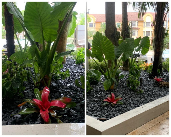 Review Jw landscape design image 306529