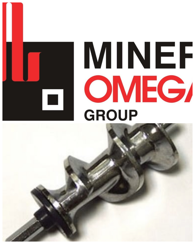 Review Minerva Omega Group image 185177