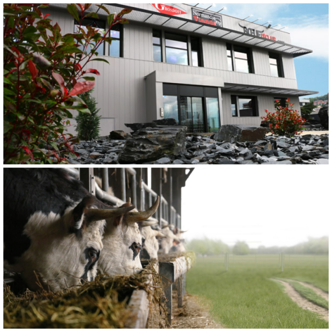 Review SAS Grosdoit image 204250