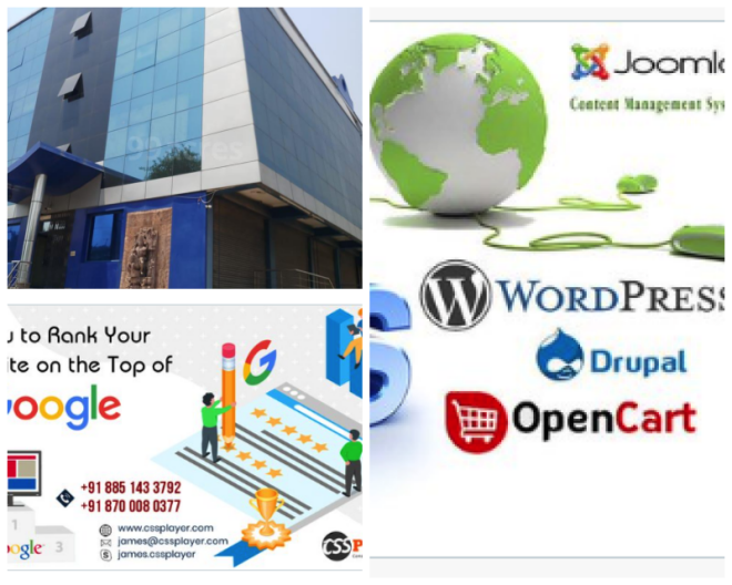 Review Cssplayer IT solution Pvt. Ltd image 126459