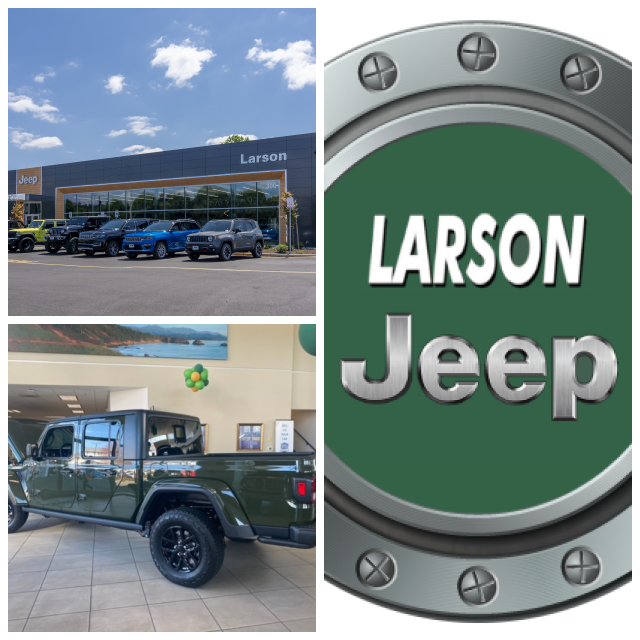 Review Larson automotive group image 247810