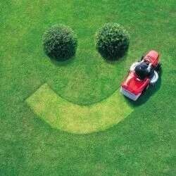 Review ITM Landscape image 359026