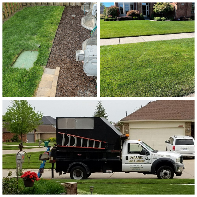 Review Dynamic Lawn & Landscape image 197684