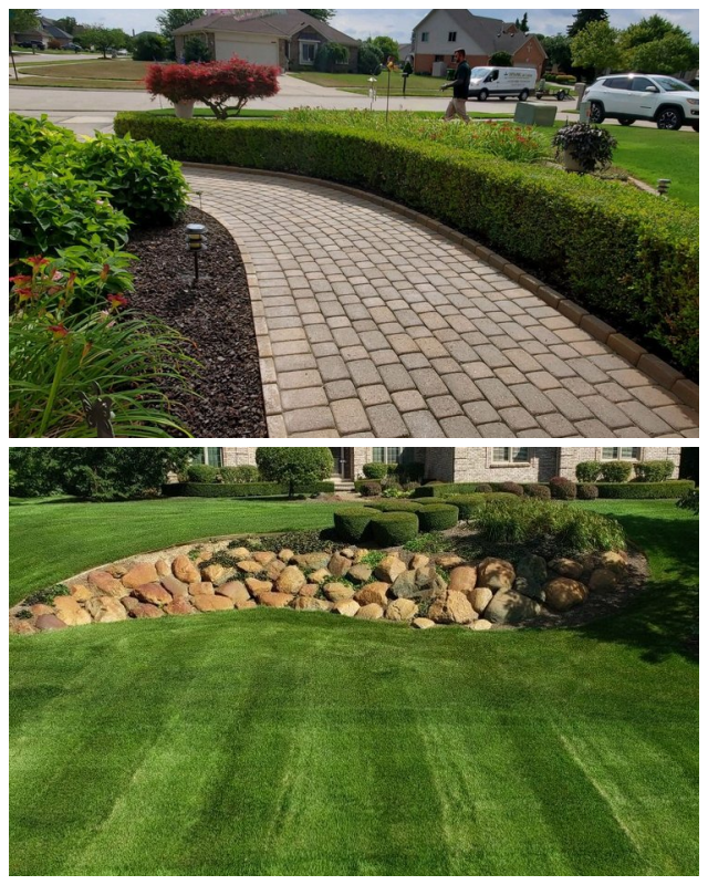 Review Dynamic Lawn & Landscape image 197685