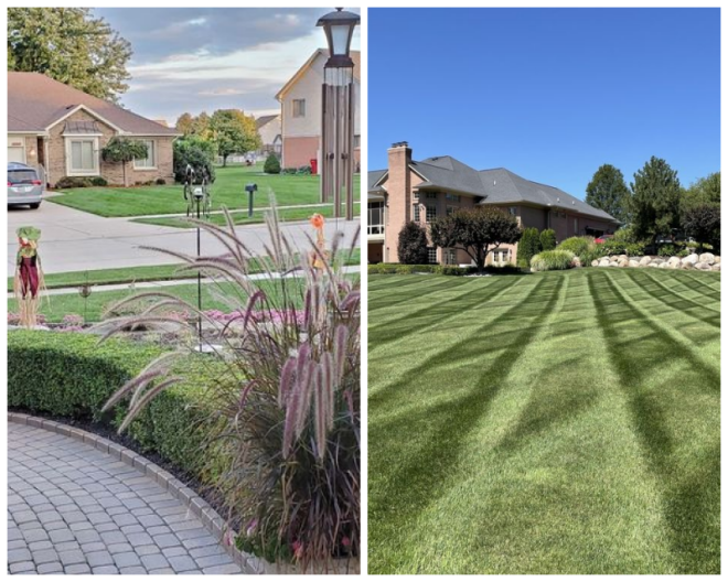 Review Dynamic Lawn & Landscape image 197687