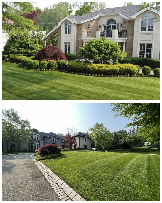 Review Primo landscape design image 340051