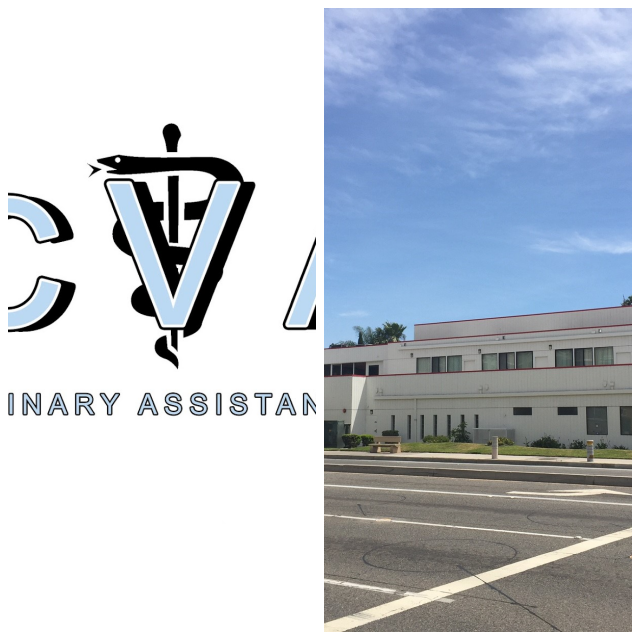 Review Oc veterinary assistant school image 330660