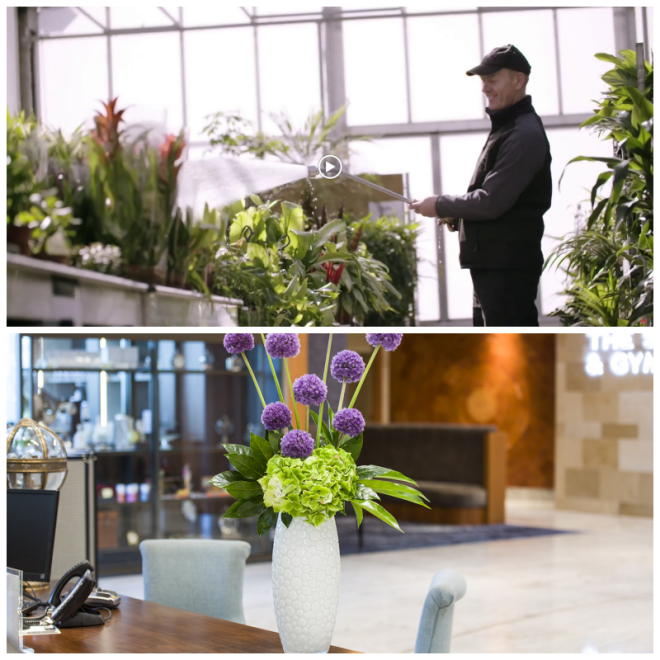Review Planteria Group image 155005
