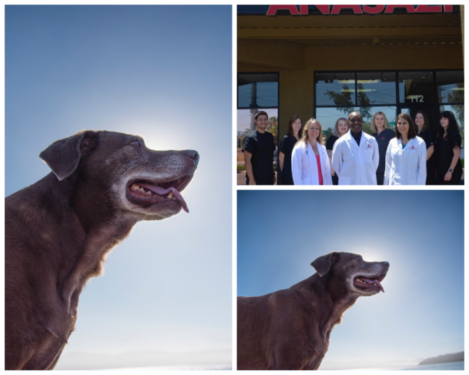 Review Anasazi Animal Clinic image 27939