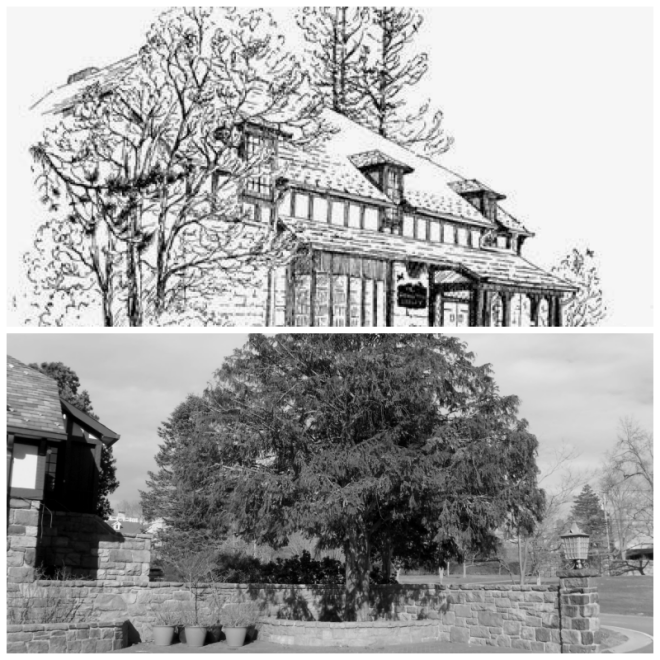 Review Rowayton library image 348038