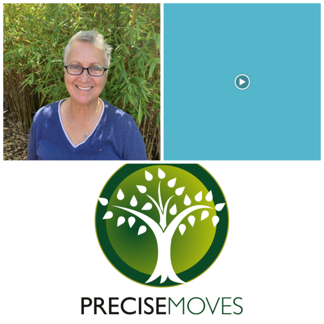 Review Precise moves chiropractic image 339273