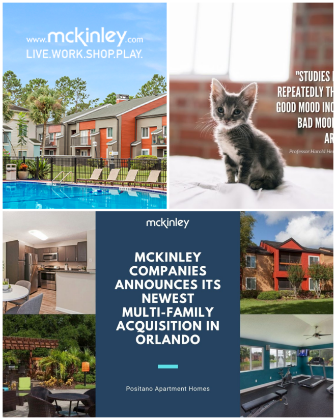Review McKinley image 1131