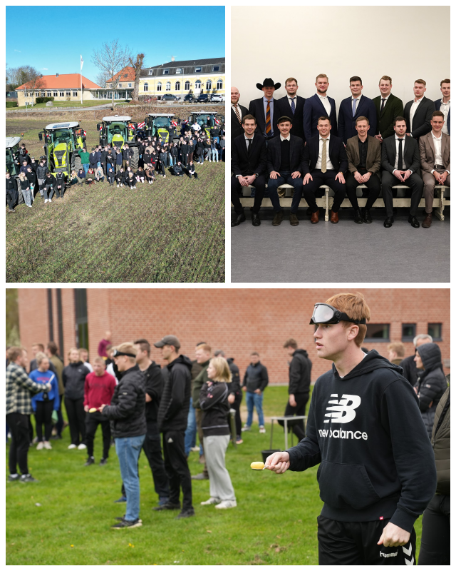 Review Academy of Agricultural Business-Danmark- Dalum Landbrugsskole image 23927