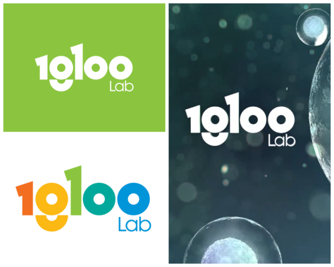 Review Igloo Lab image 138622