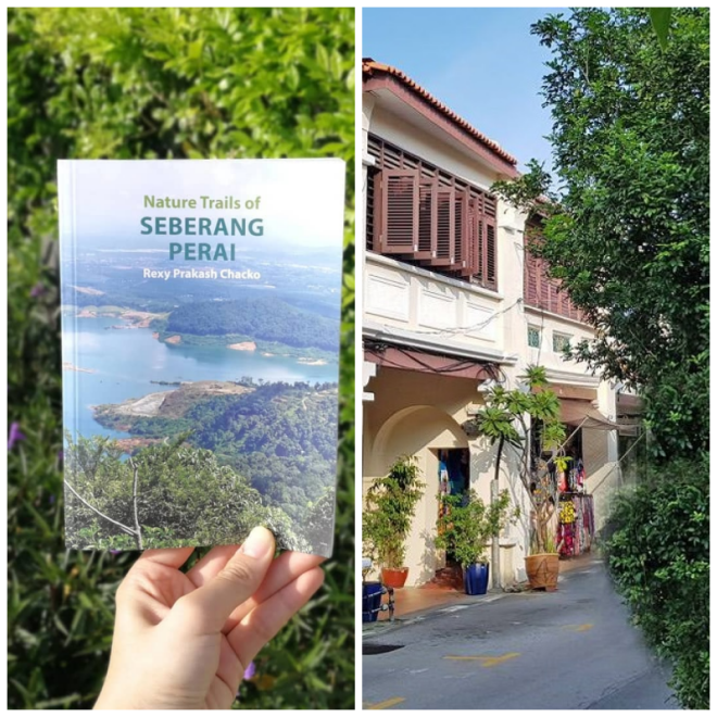 Review Areca Books image 173076