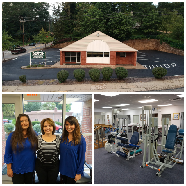 Review David physical therapy inc image 271940