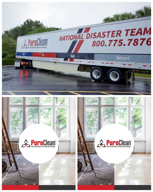 Review PuroClean Mitigation Services image 169467