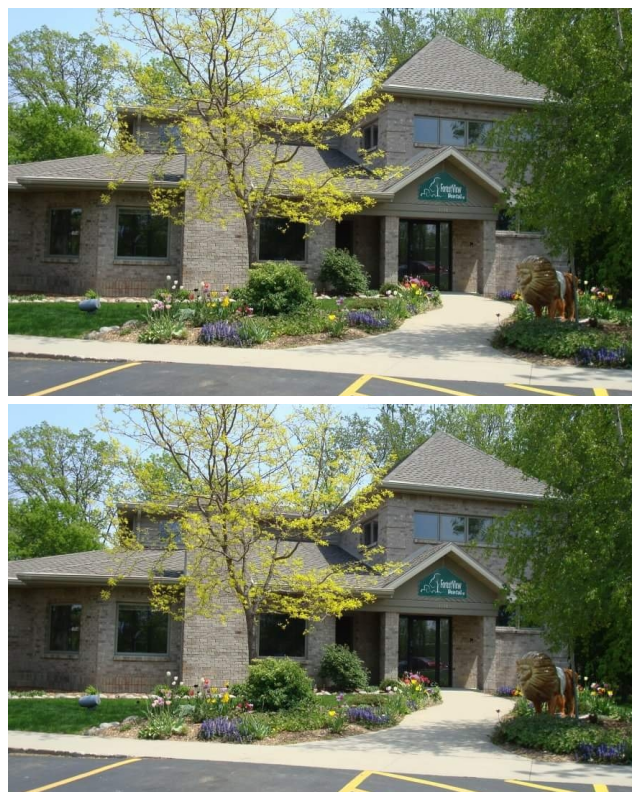 Review Forest View Dental image 171588