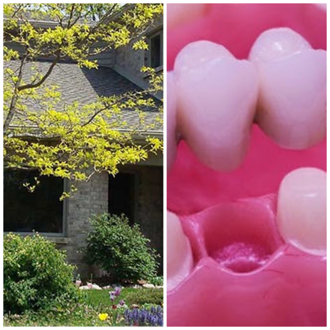 Review Forest View Dental image 171589